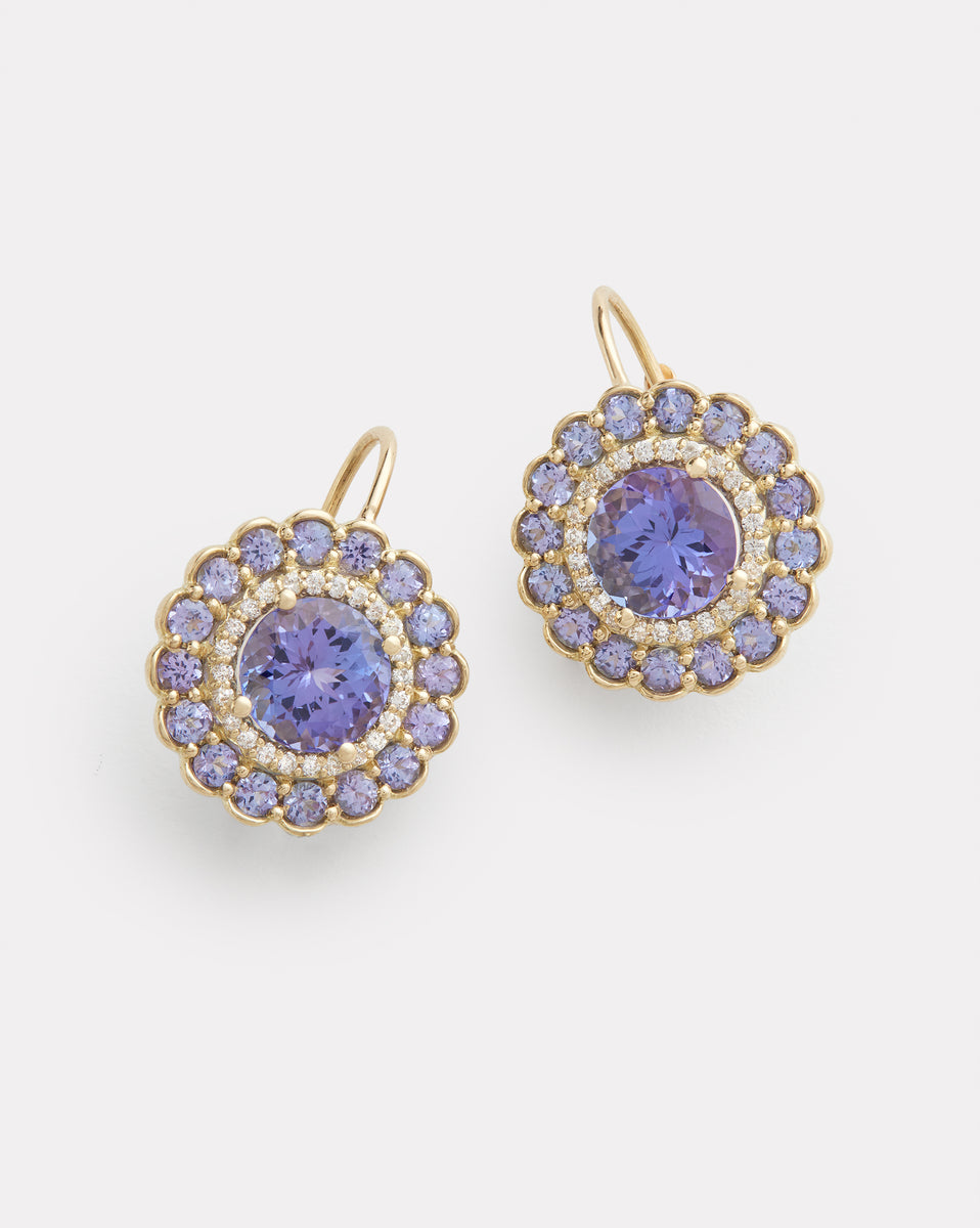 Tanzanite and Diamond Edged Round Earring